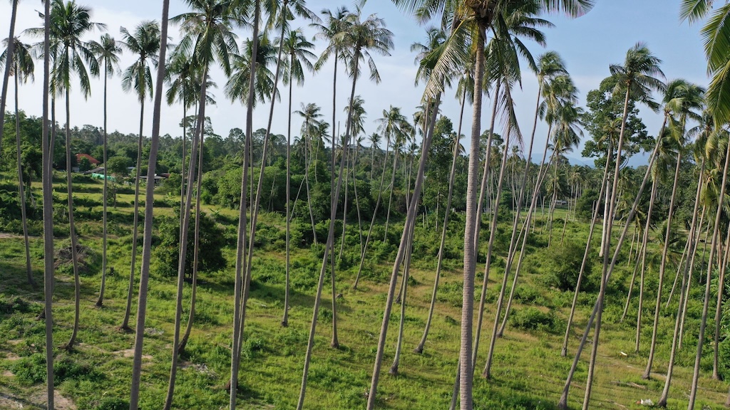 Maenam Koh Samui Land For Sale