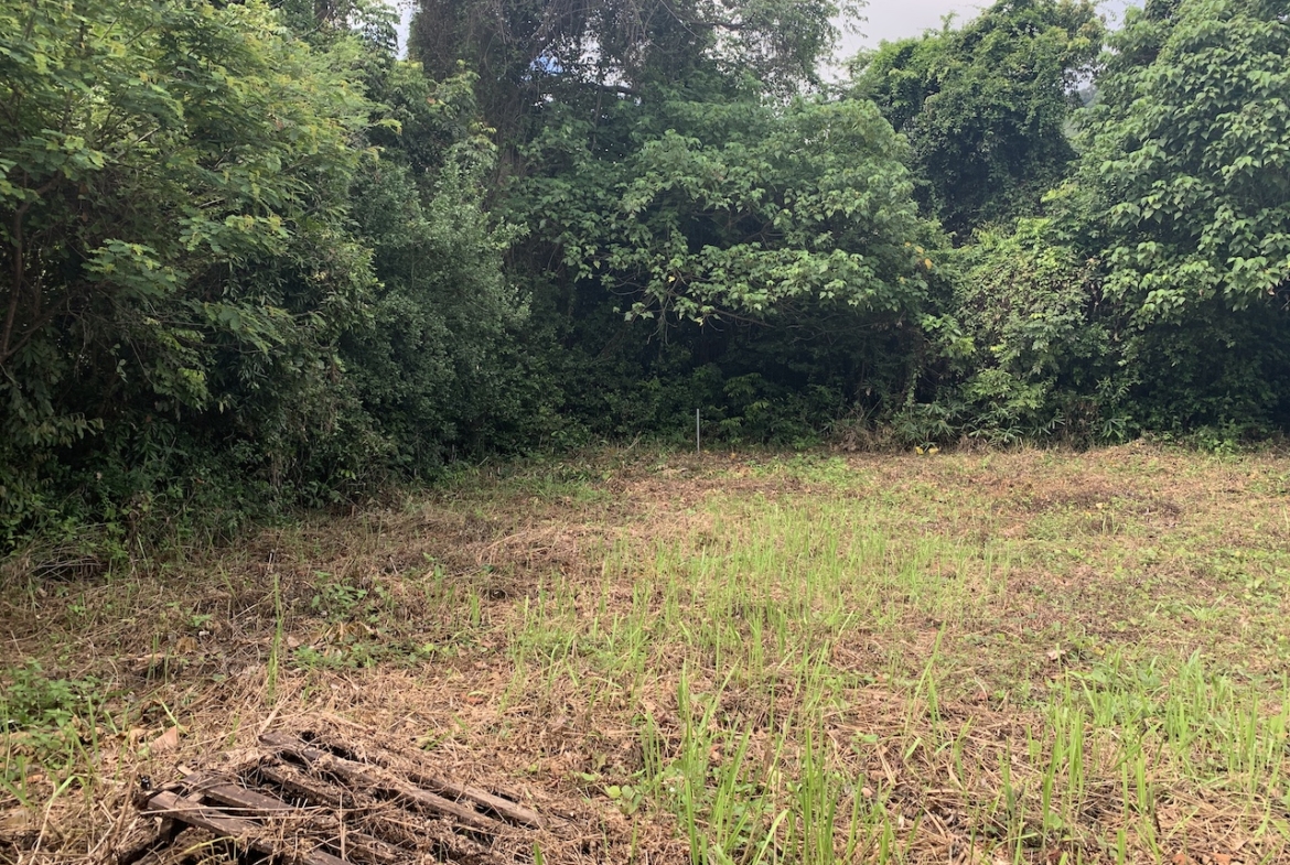 koh samui land for sale