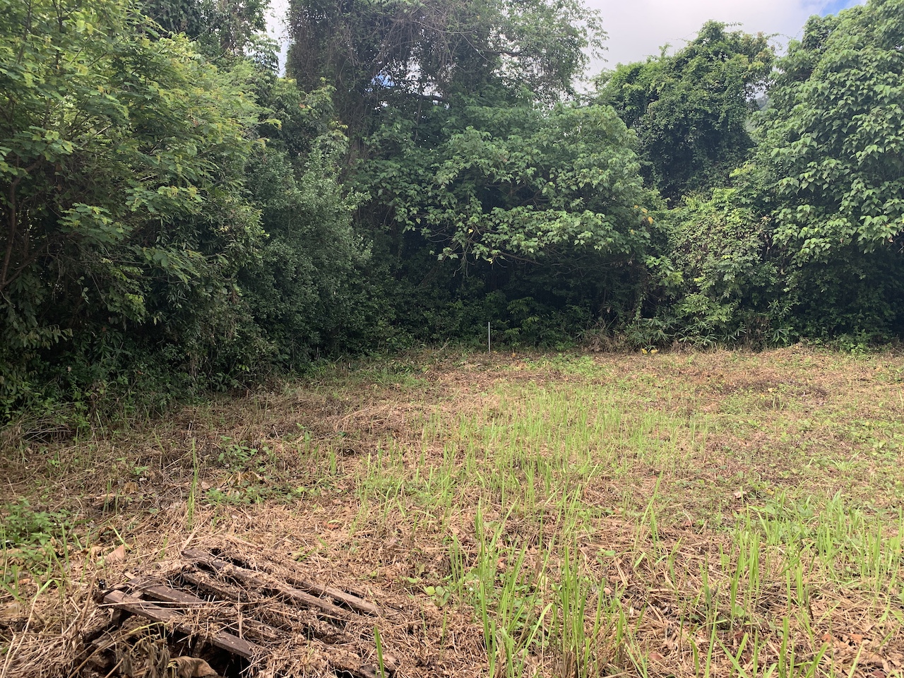Maenam Land Plot koh samui land for sale
