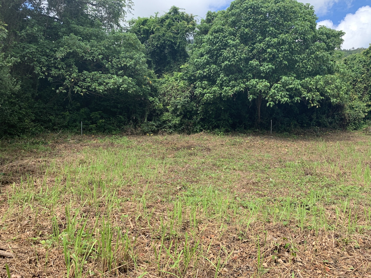 Maenam Land Plot Centre Of The Land