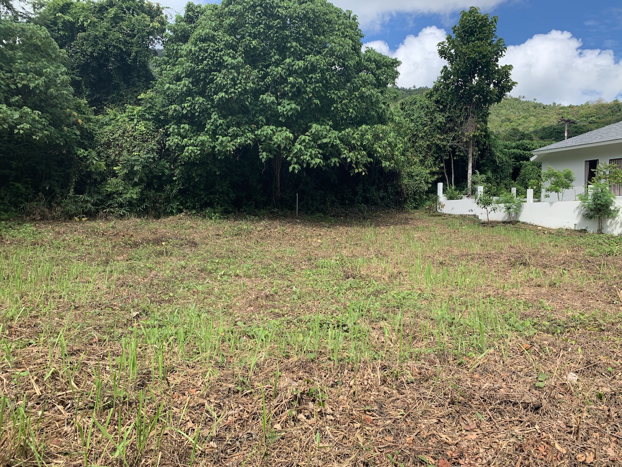 Maenam Land Plot samui land for sale