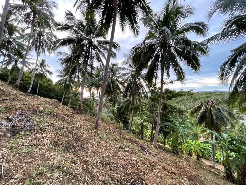 Maenam Sea and Mountain View Land For Sale