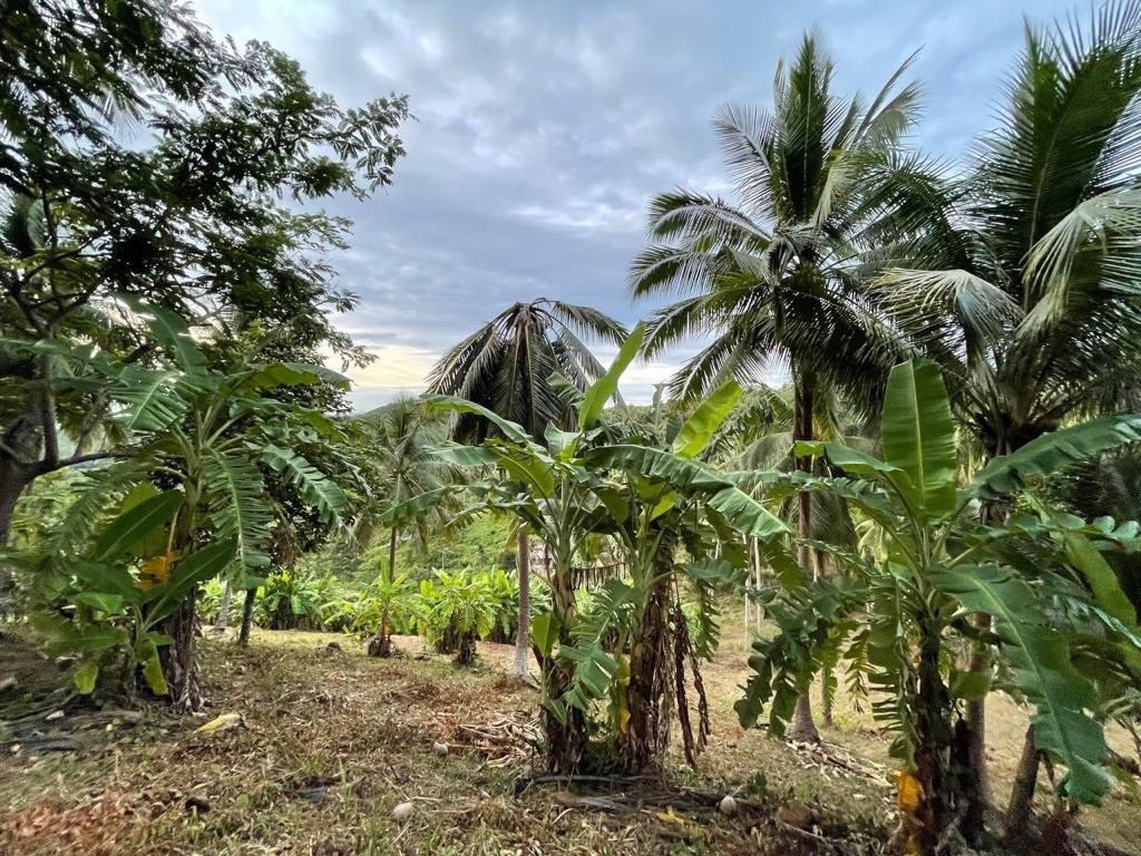 Maenam Sea and Mountain View Land For Sale Surroundings