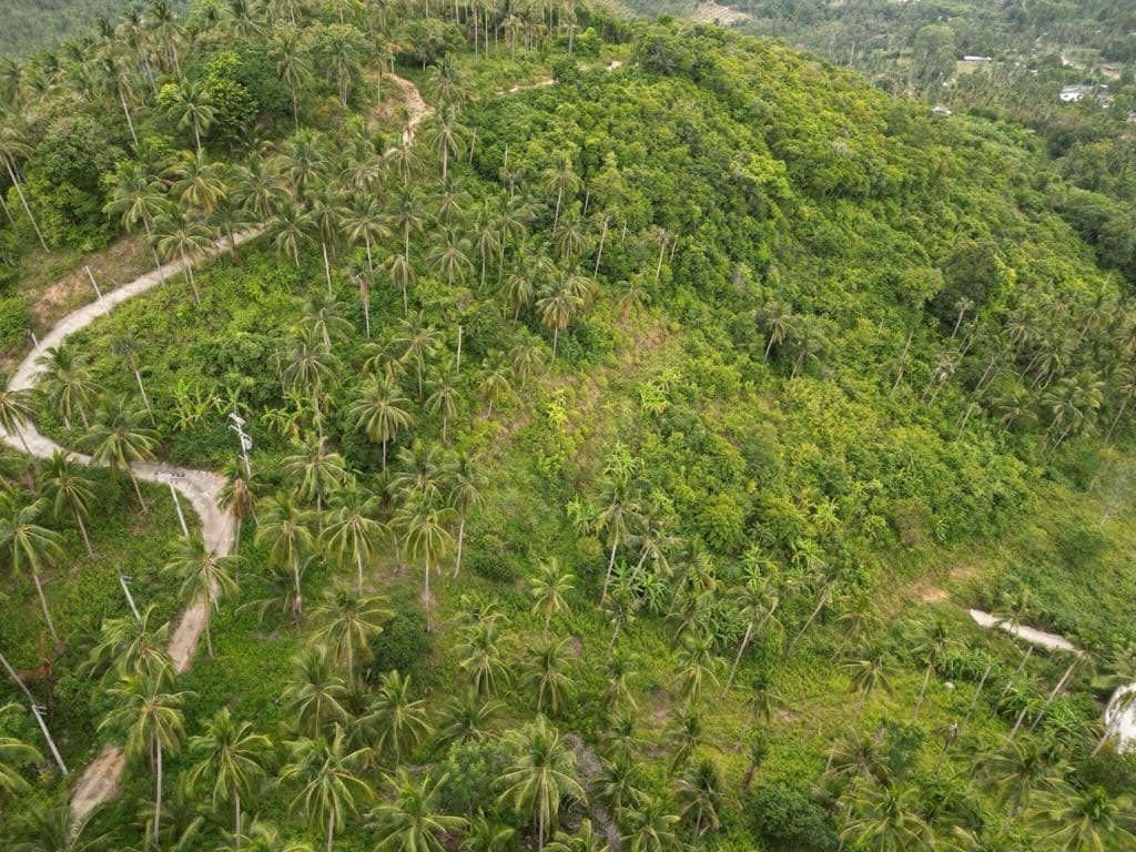 Maenam Sea And Mountain View Land For Sale