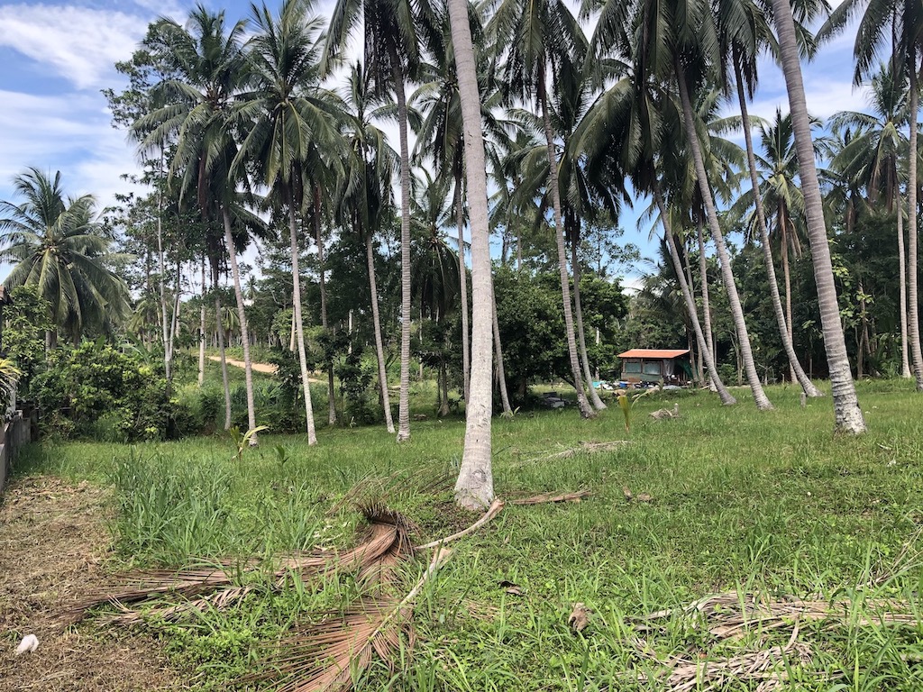 Nathon Land Plots For Sale Plot 3