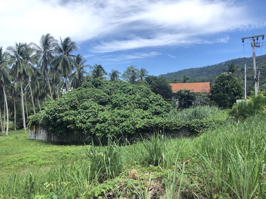 Nathon Land Plots For Sale Plot 6