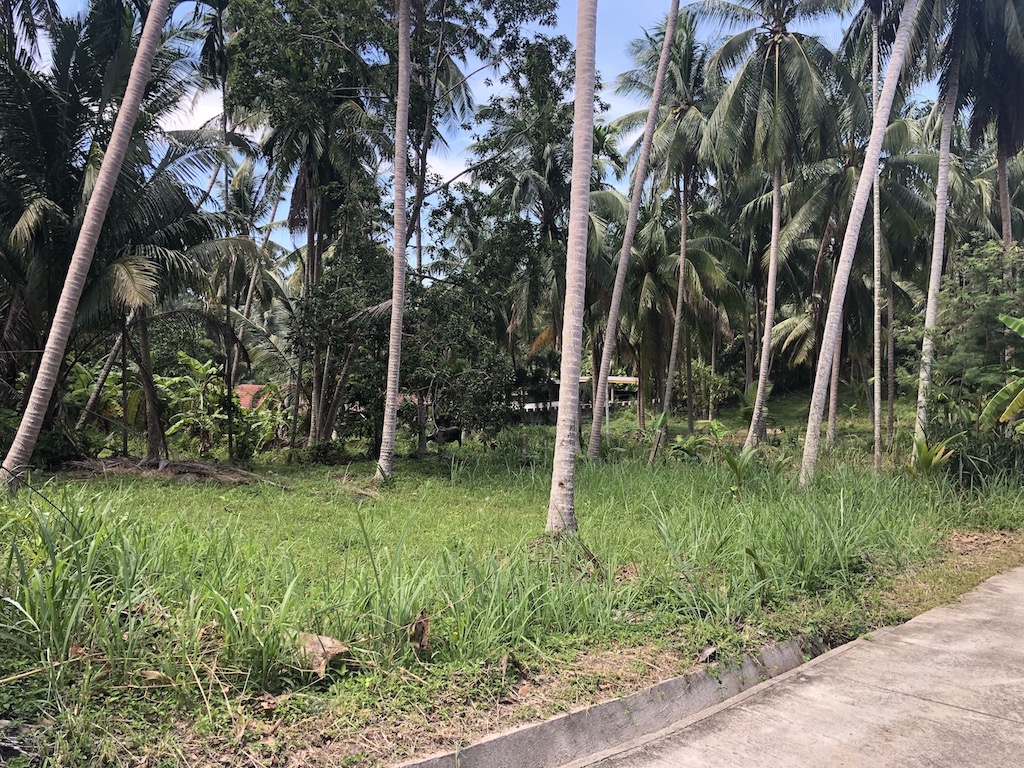 Nathon Land Plots For Sale Plot 8