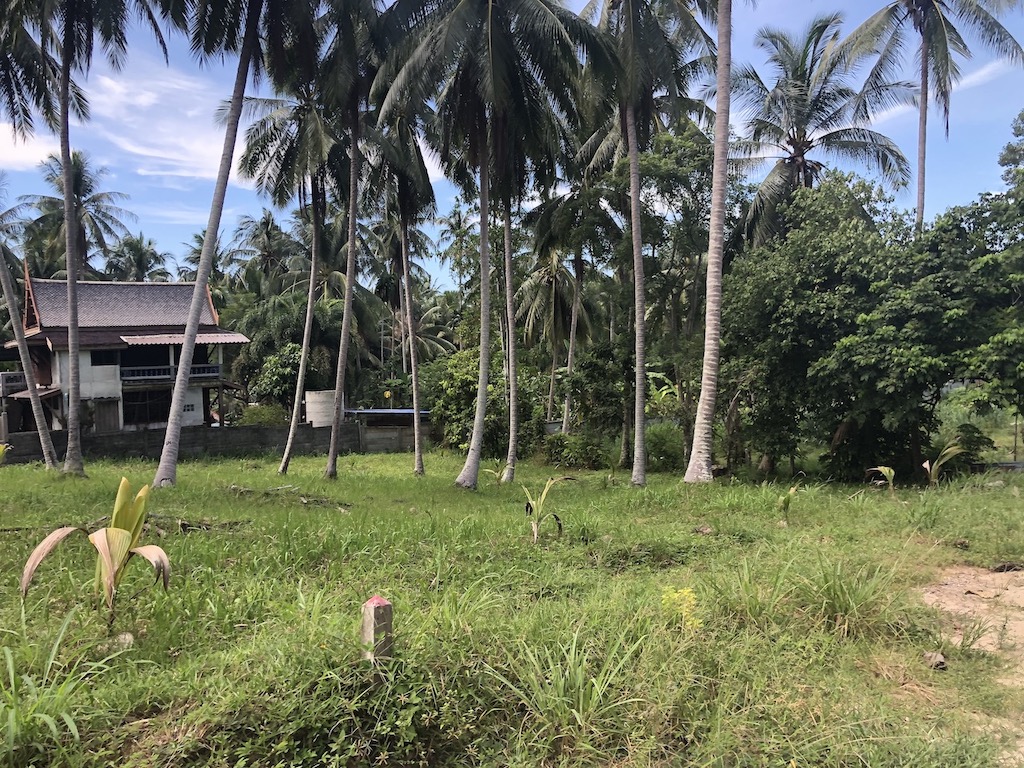 Nathon Land Plots For Sale
