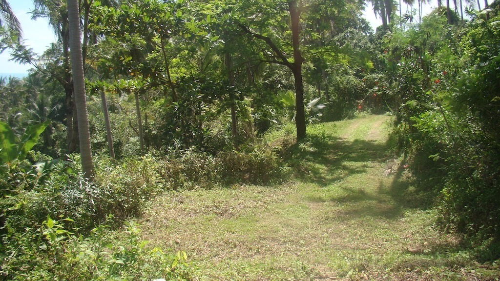 Ocean View Land For Sale In Taling Ngam Contour