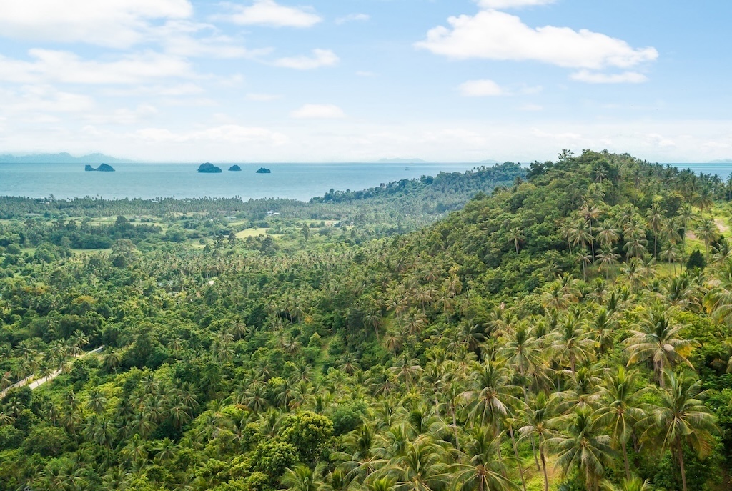 Ocean View Land For Sale in Taling ngam