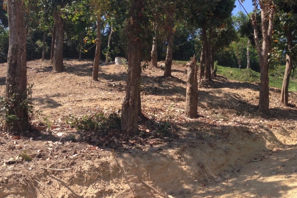Phuket Oceanfront Land For Sale