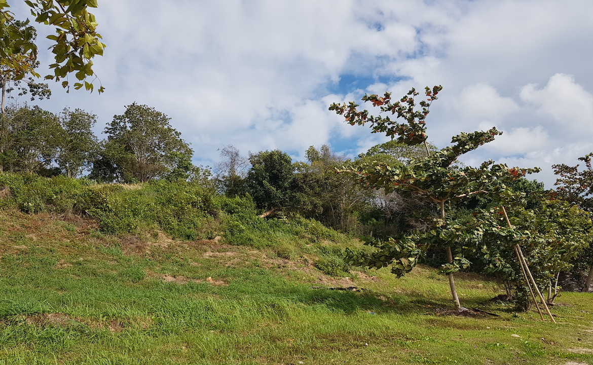 Plai Laem Beachfront Land Land Contour