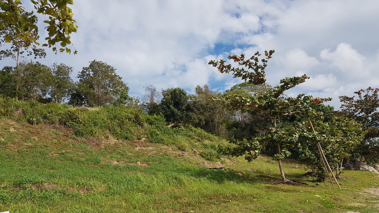 Plai Laem Beachfront Land Land Contour