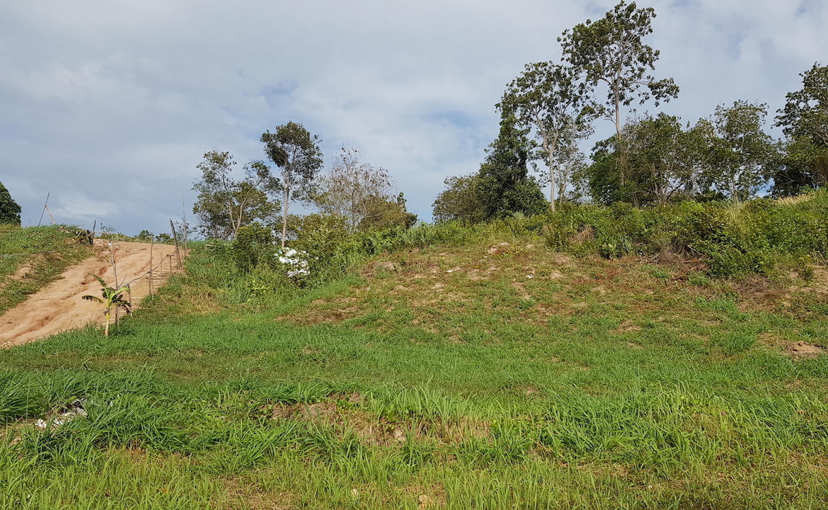 Plai Laem Beachfront Land Back Of Land