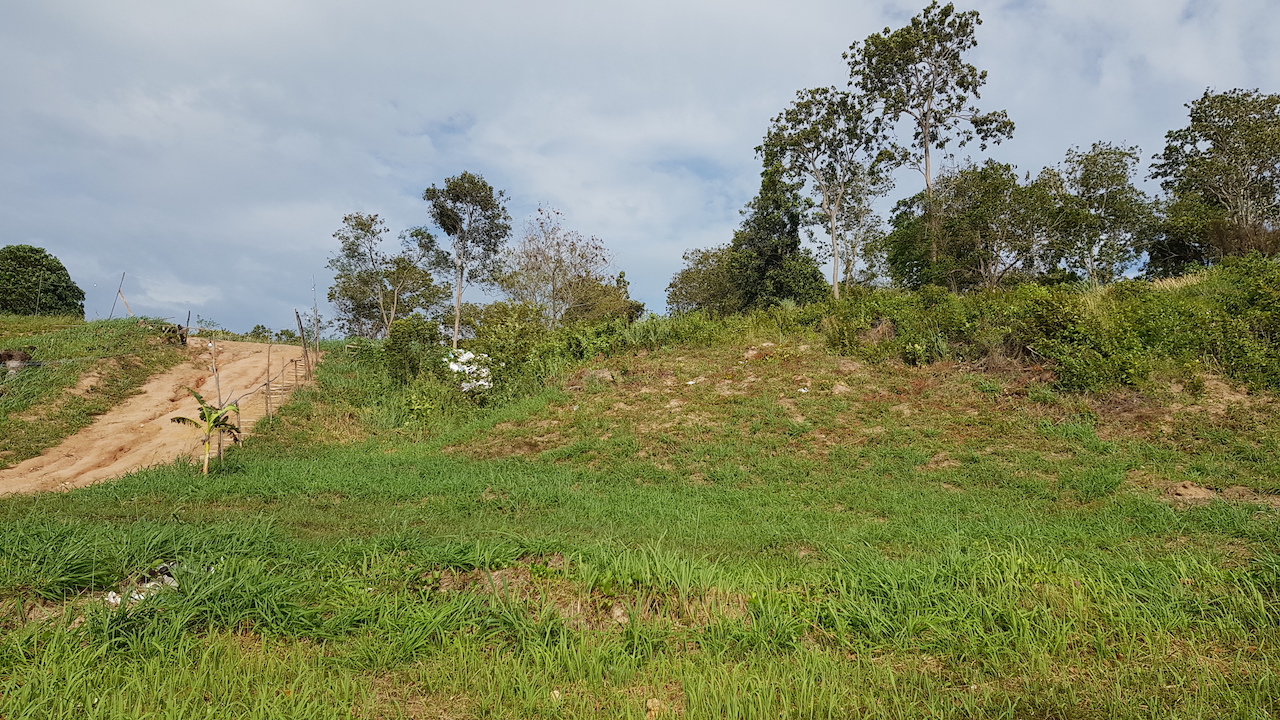 Plai Laem Beachfront Land Back Of Land