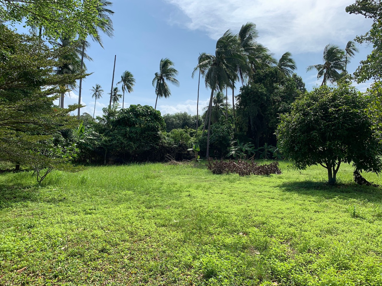 Property & Land For Sale Land Koh Samui