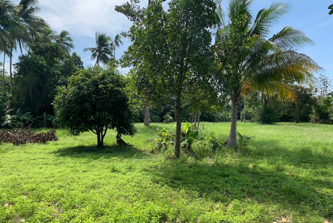 Landscaped Land