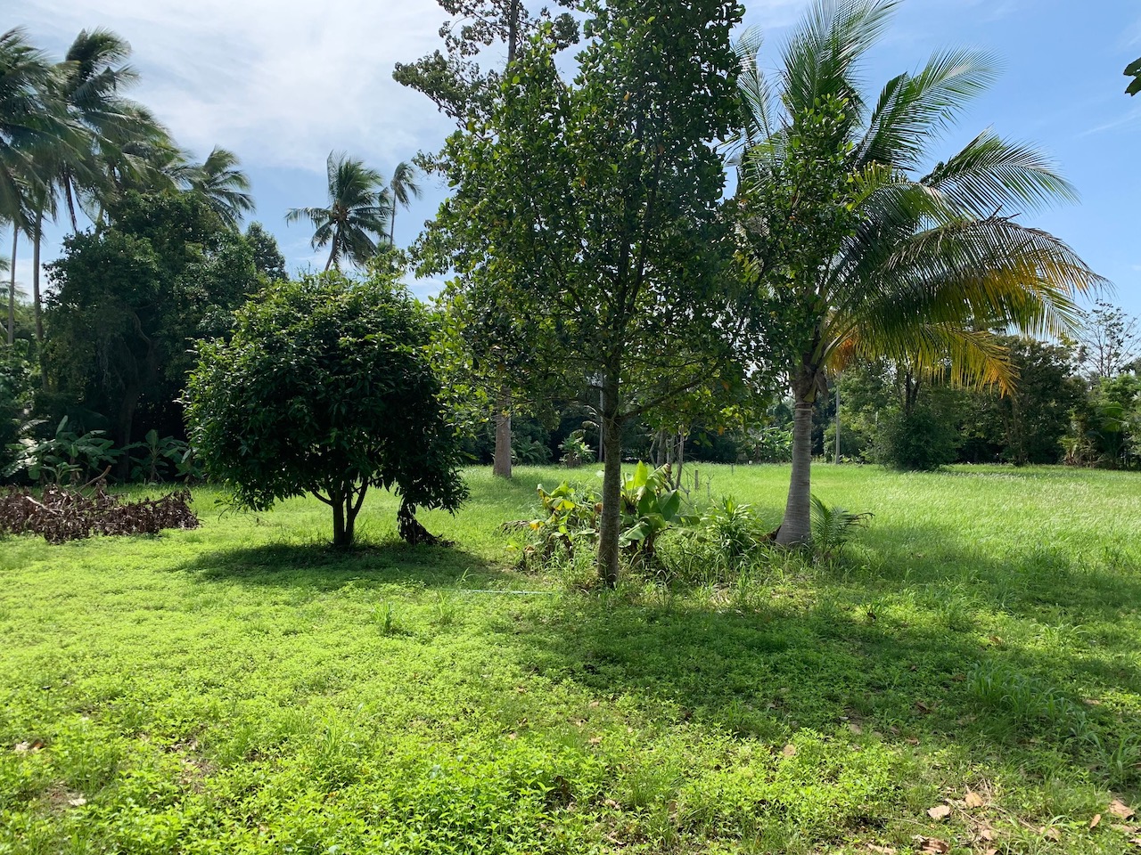 Property & Land For Sale Landscaped Land