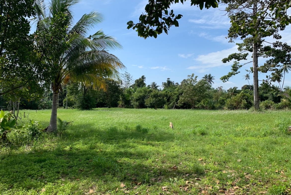 Huge Land Space