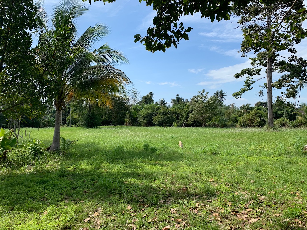Property & Land For Sale Huge Land Space