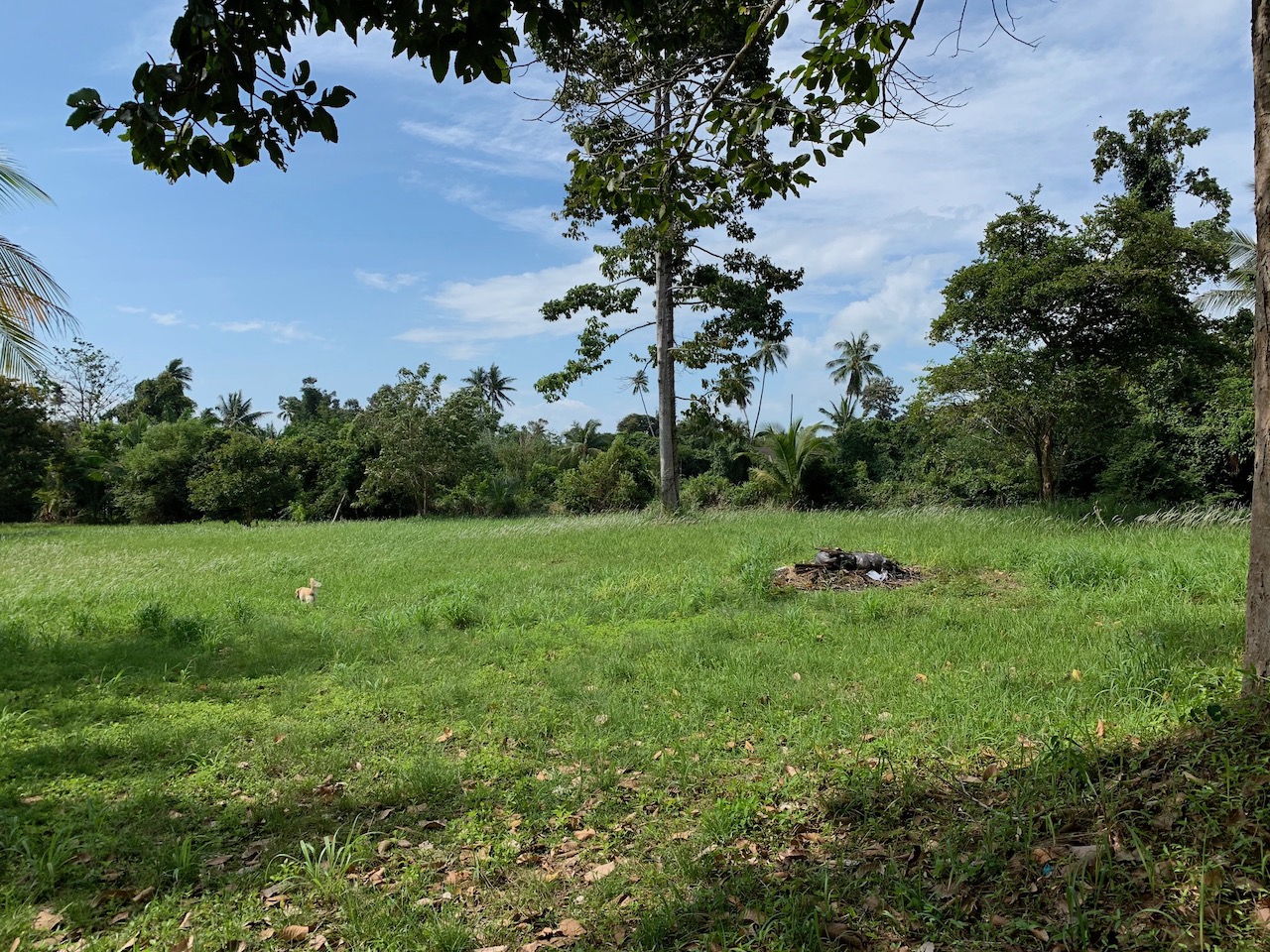 Property & Land For Sale Tropical Landscape