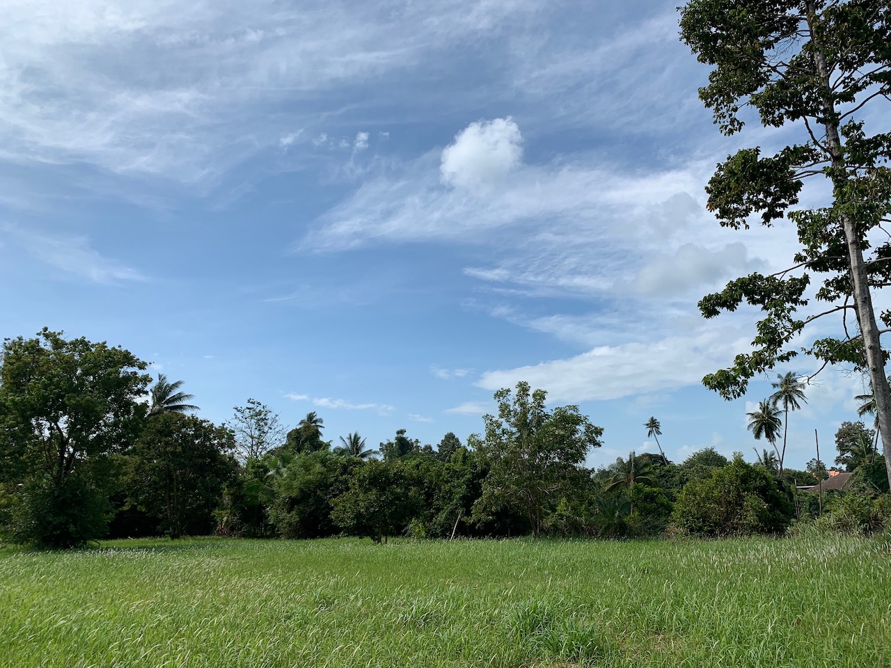 Property & Land For Sale Koh Samui Land For Sale