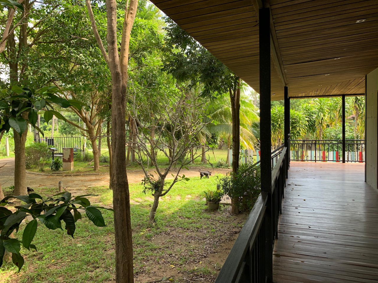Property & Land For Sale Property Covered Terrace