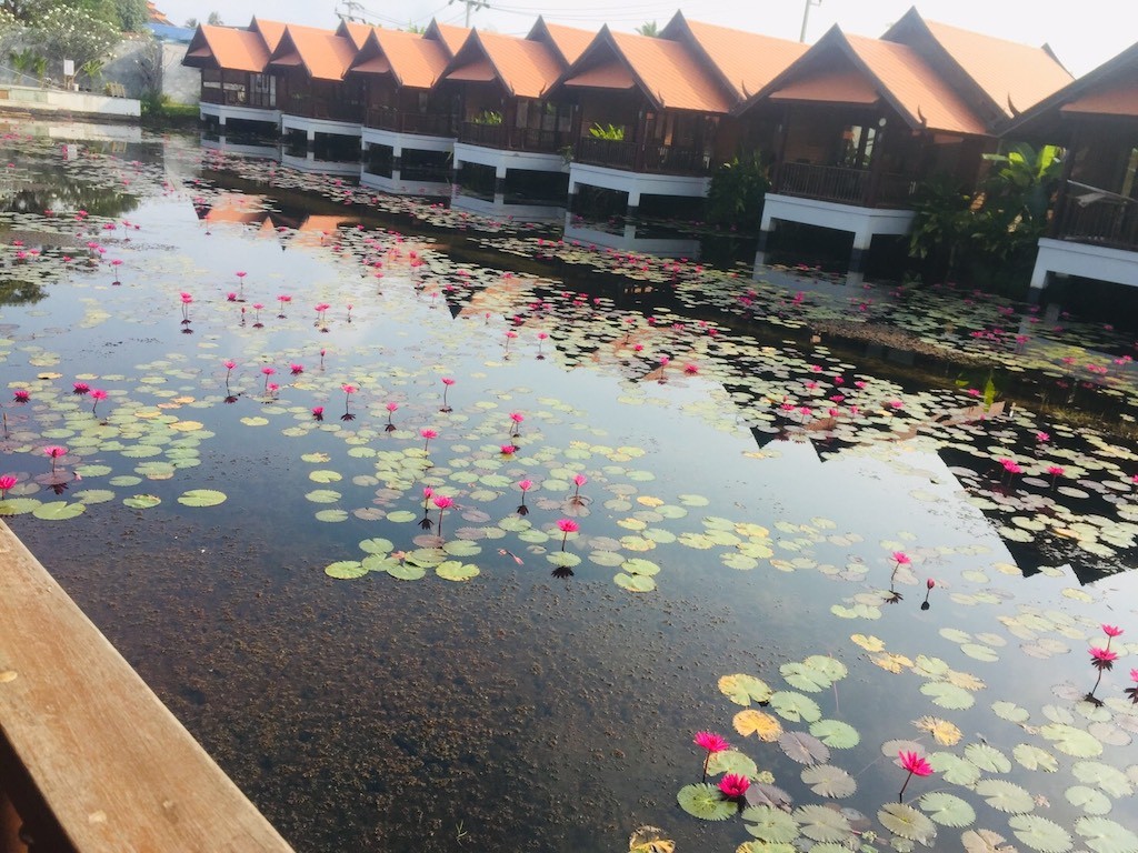 Resort For Sale In Koh Samui Lily Pond