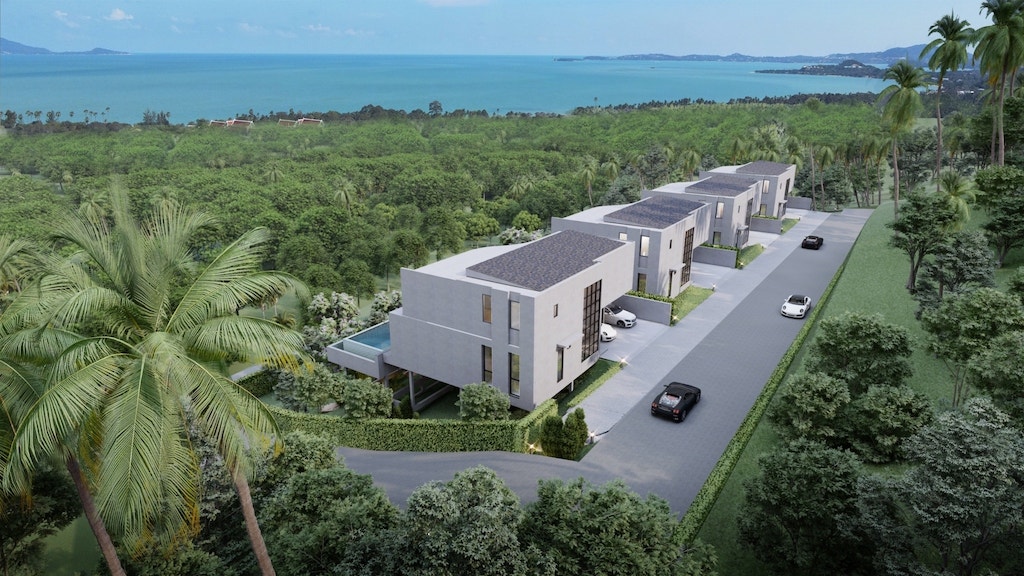 Project View