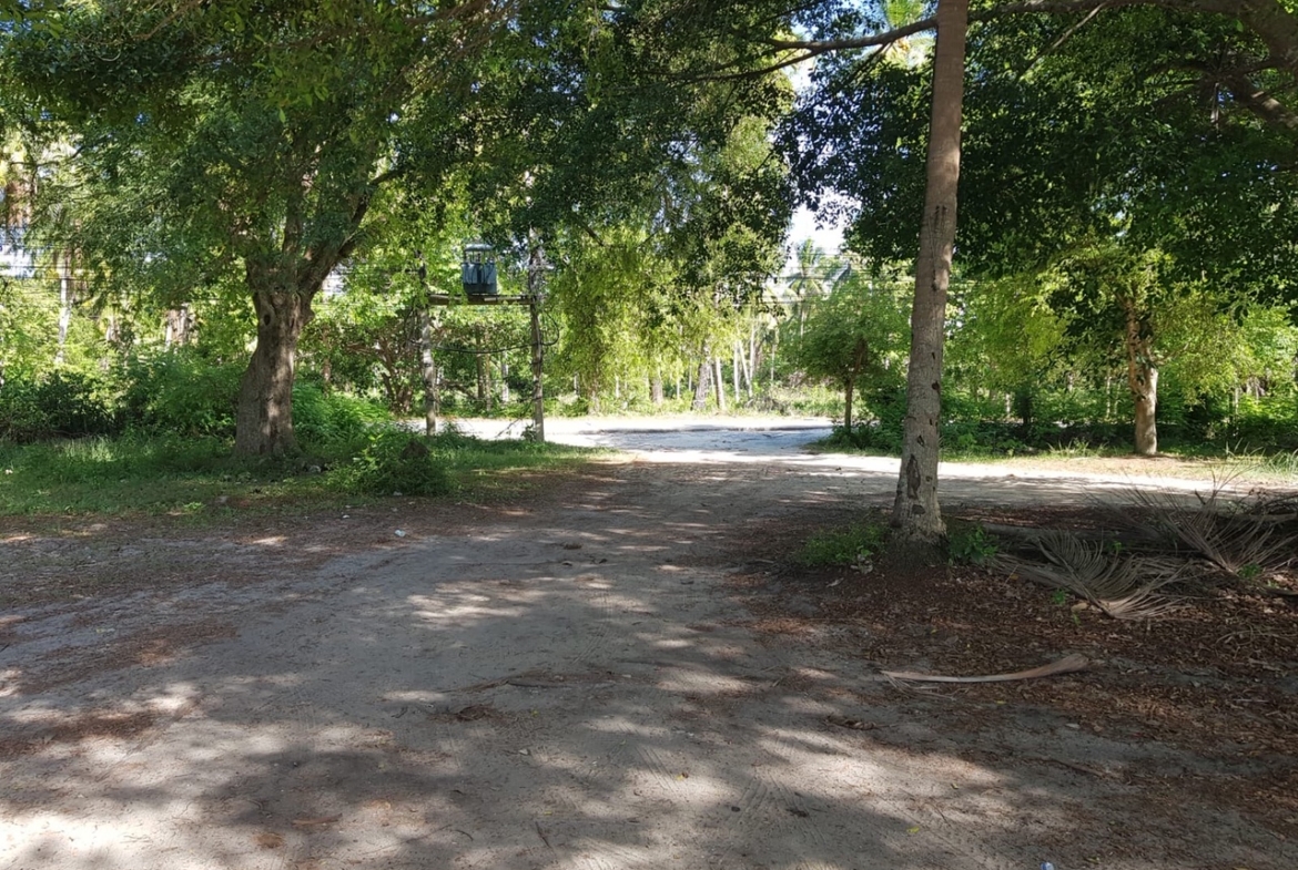Samui Beachfront Land For Sale Lipa Noi – Land in Koh Samui (photo 1)