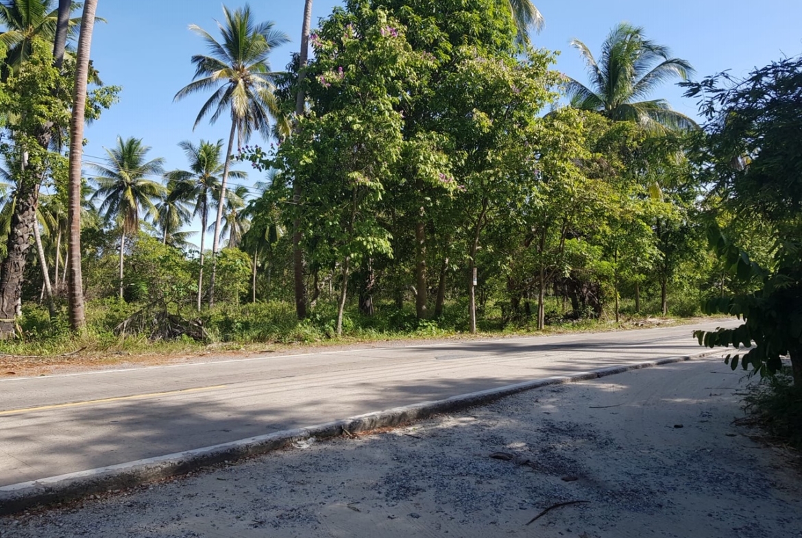 Samui Beachfront Land For Sale Lipa Noi – Land in Koh Samui (photo 2)