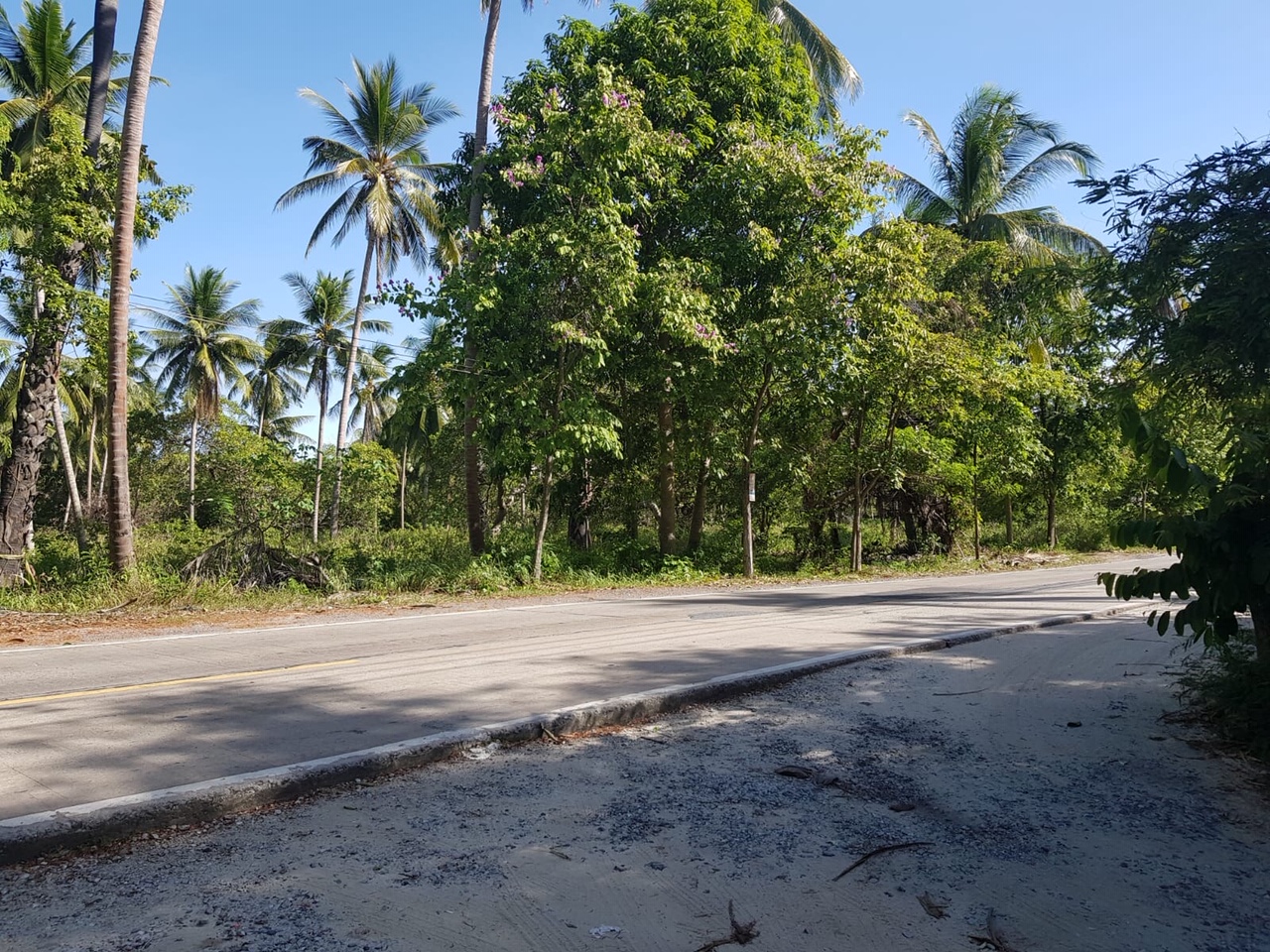Samui Beachfront Land For Sale Lipa Noi – Land in Koh Samui (photo 2)