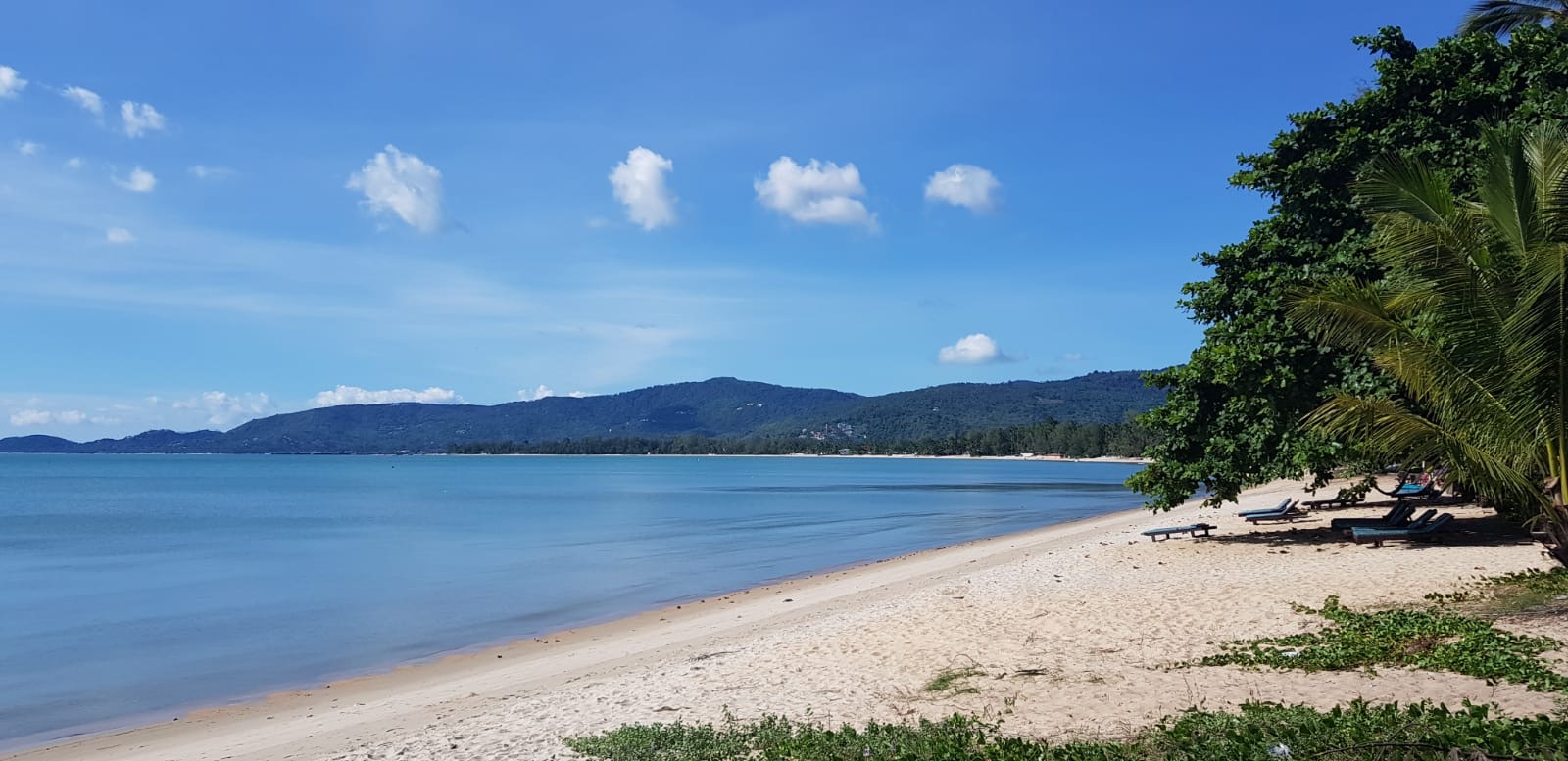 Samui Beachfront Land For Sale Lipa Noi – Land in Koh Samui (photo 4)