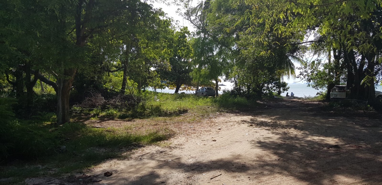 Samui Beachfront Land For Sale Lipa Noi – Land in Koh Samui (photo 5)