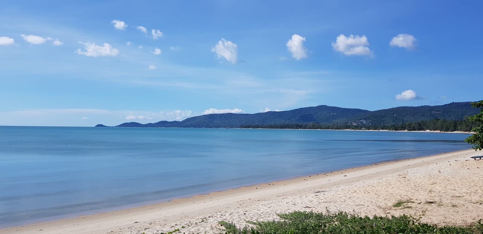 Samui Beachfront Land For Sale Lipa Noi – Land in Koh Samui, Thailand