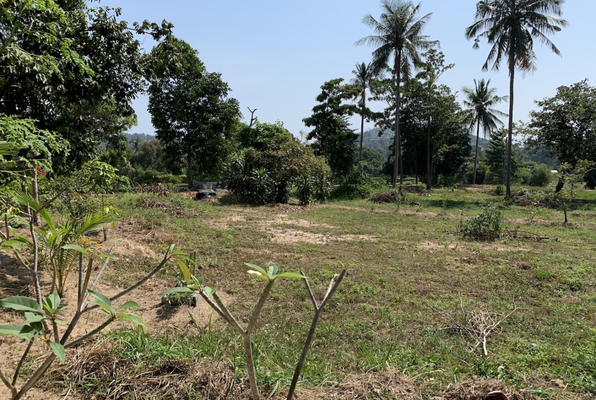 Land For Sale