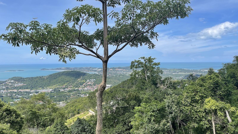 Land View