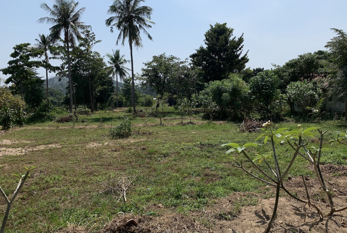 The Land