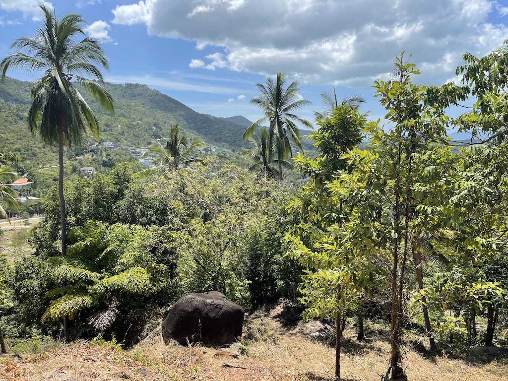 Samui Sea View Land Landscape