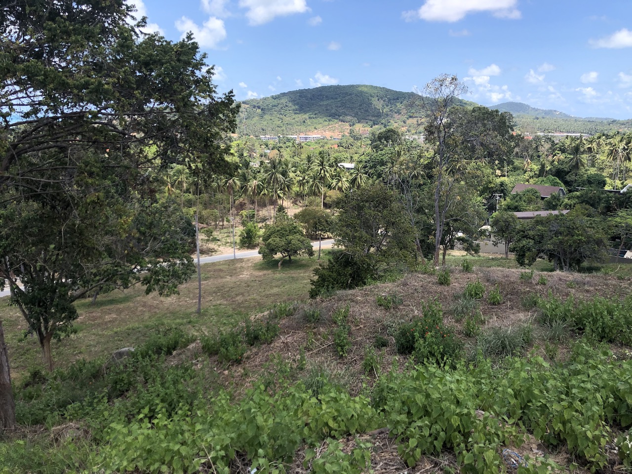 Samui Sea View Land Plot Bophut – Land in Koh Samui (photo 1)