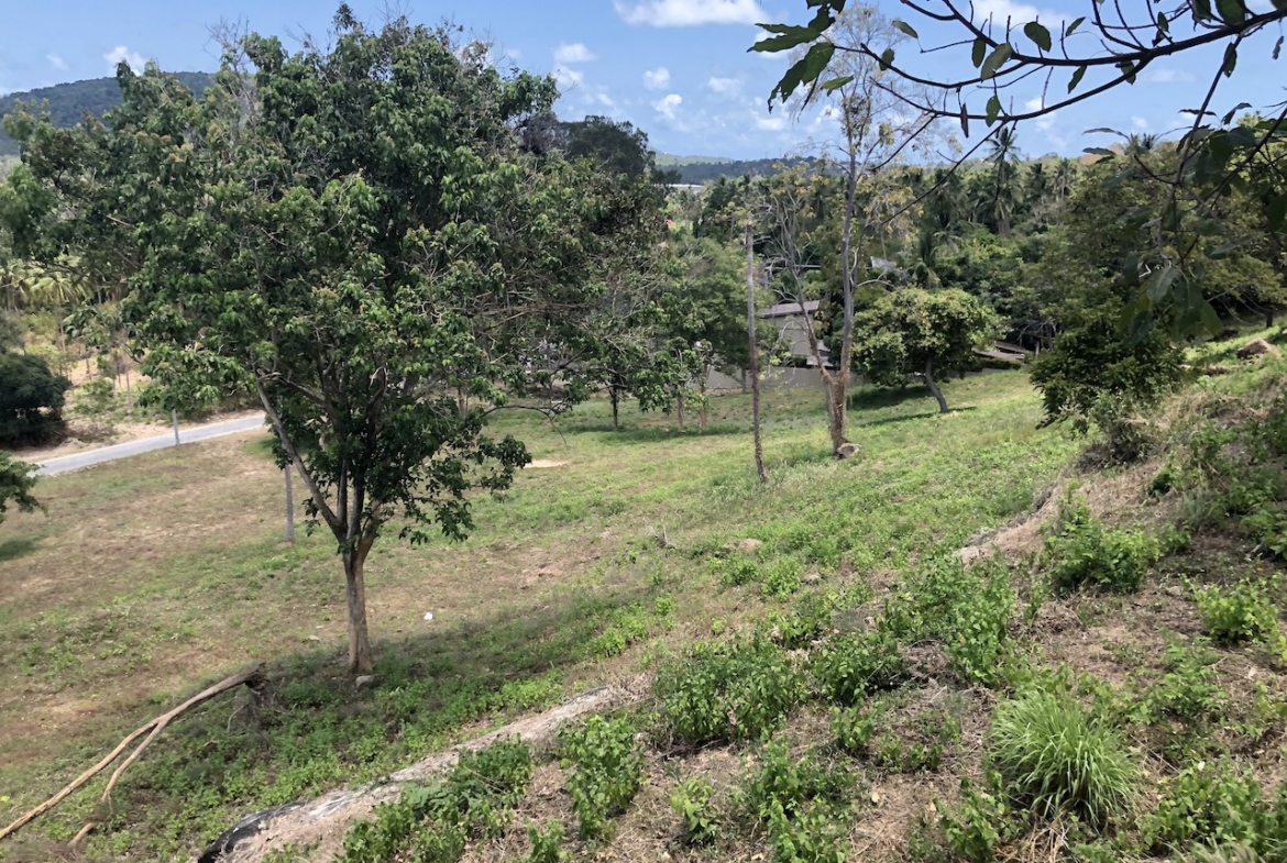 Samui Sea View Land Plot Bophut – Land in Koh Samui (photo 4)