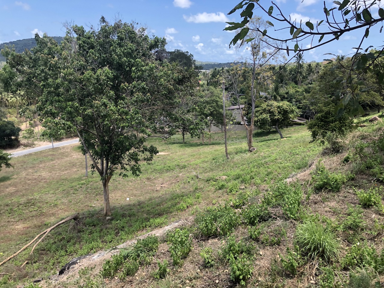 Samui Sea View Land Plot Bophut – Land in Koh Samui (photo 4)