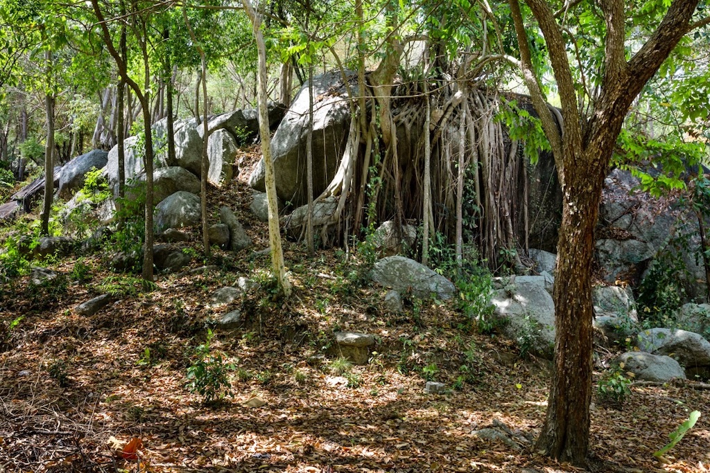 Santikhiri Ko Samui – Land in Koh Samui (photo 5)