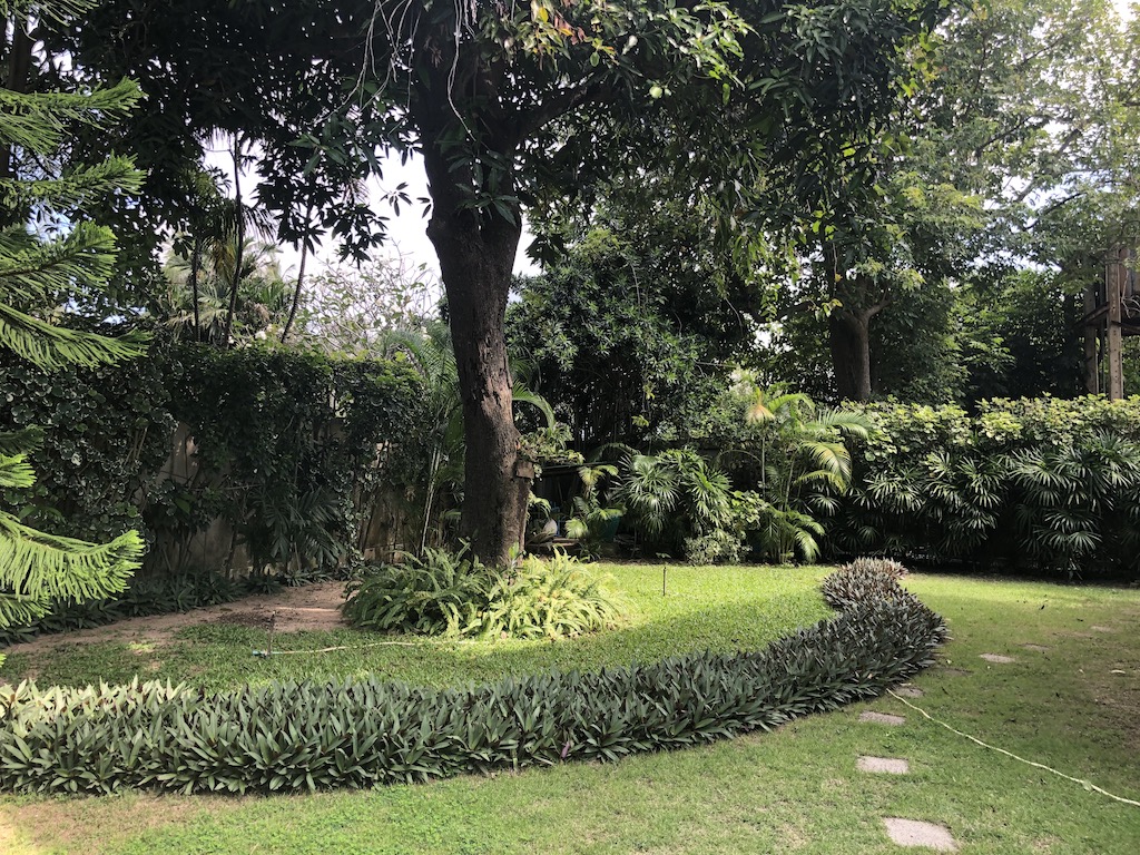 Landscaped Garden