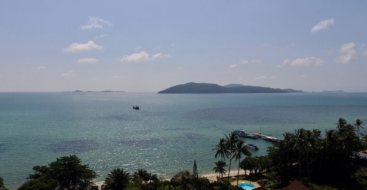 View