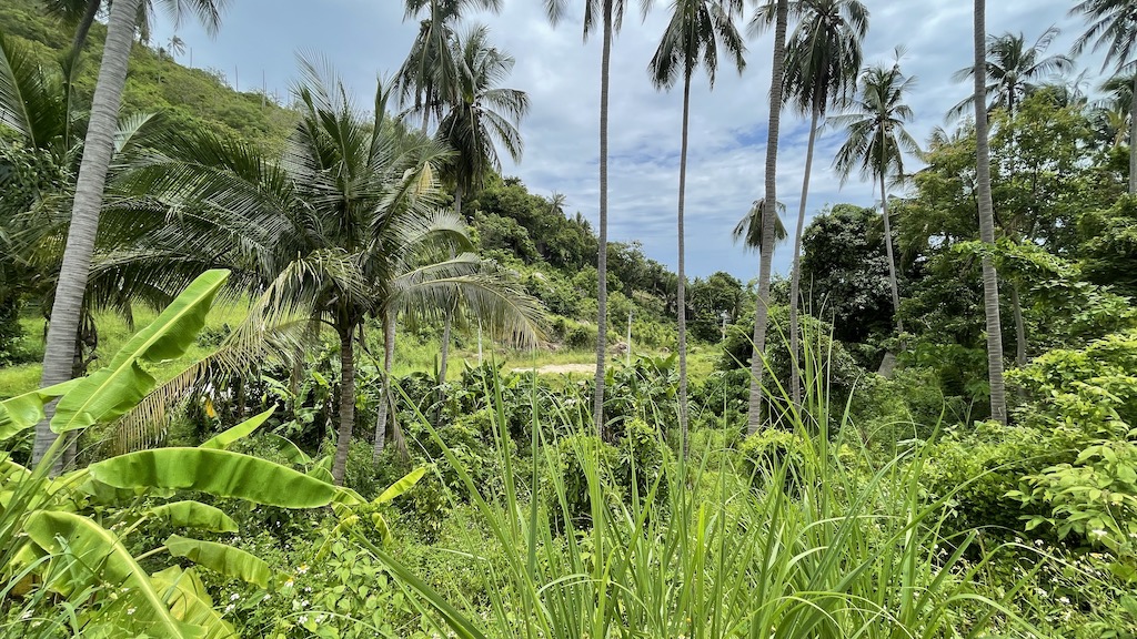 Sea View Chanote Land View Lamai