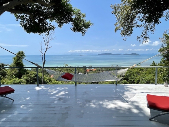 Hammock