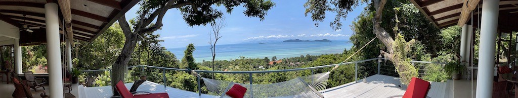 Pano View