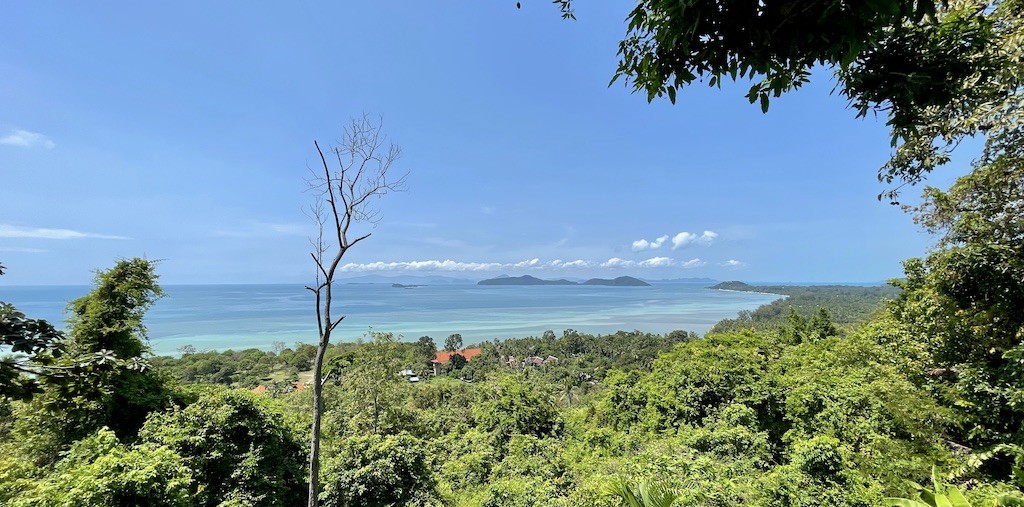 Ocean View