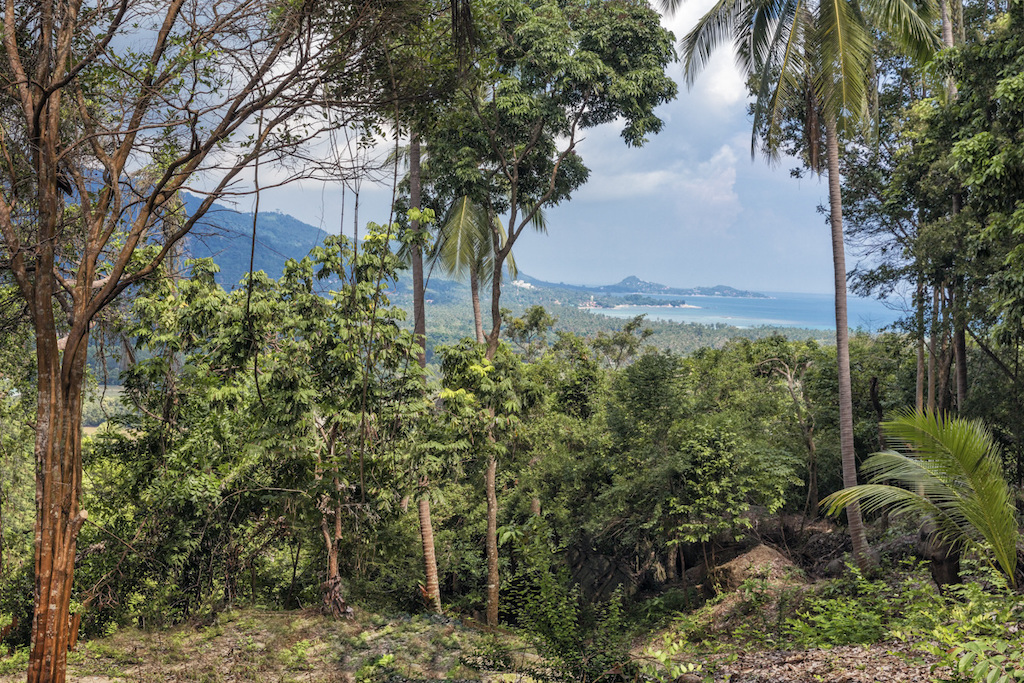Sea View Land At Santikhiri Samui – Land in Koh Samui (photo 5)